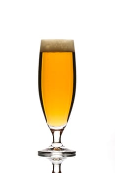 glass of beer