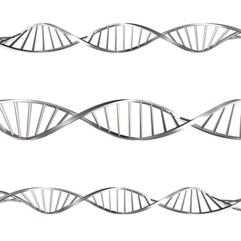 DNA strands