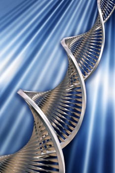 DNA strands