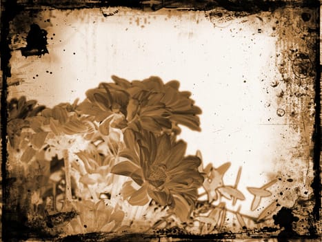Floral grunge