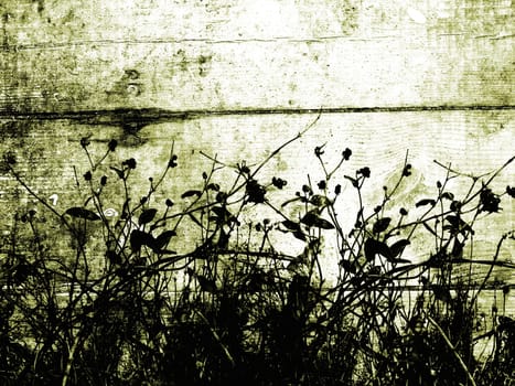 Foliage grunge