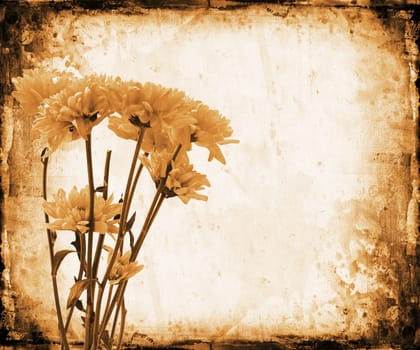 Floral grunge