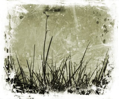 Grunge nature