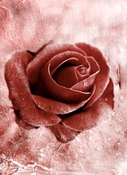 Grunge rose 0801