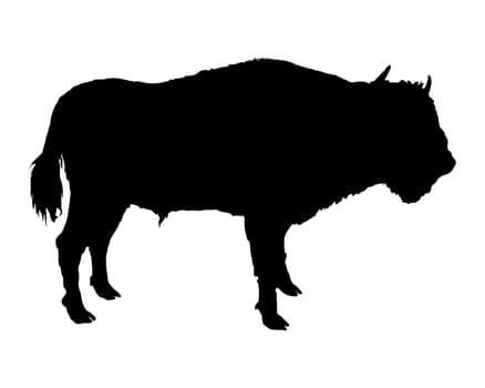 Bison depicted in the form of a black silhouette
