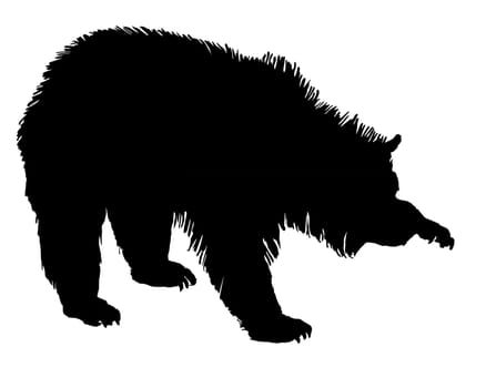 Grizzly