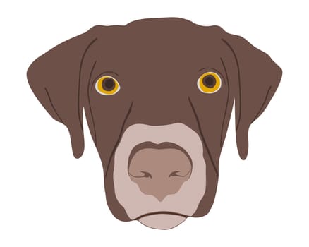 Dog's head