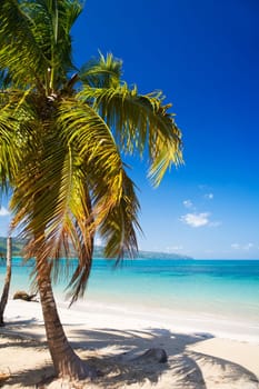 Caribbean