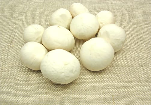 White cleaned mushrooms on beige tablecloth