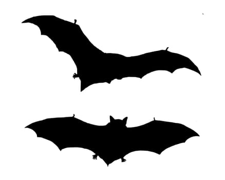 The black silhouette of two flying bats