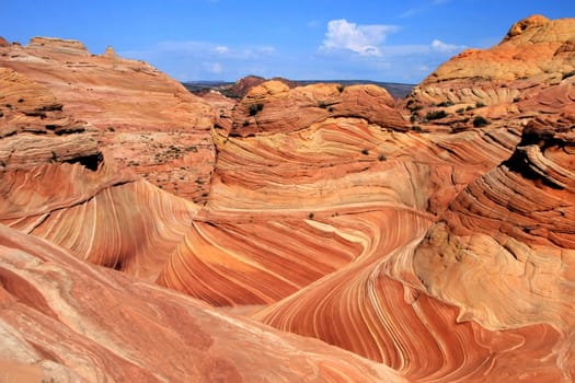 The Wave - View