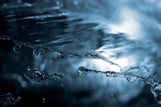 Splash