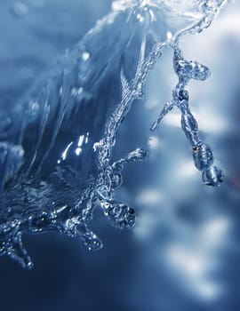 Splash
