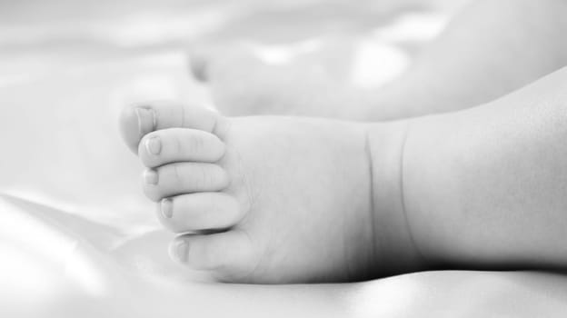 Babies foot