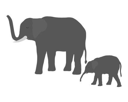 Elephant cow with cub