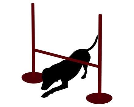 Dog Training (Obedience) Command Crawl