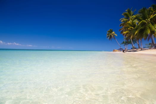 Caribbean