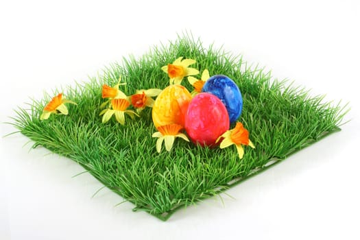 Dyed Eggs