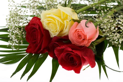 Bunch of roses in three colors