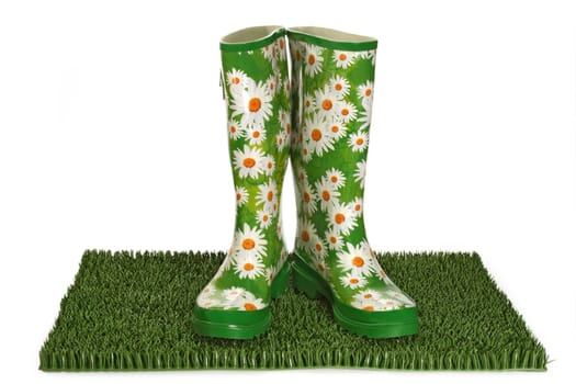 rubber boots or wellingtons