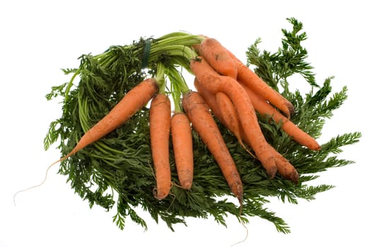 Carrots
