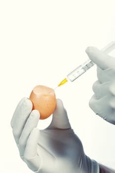 yringe injecting egg for experiment