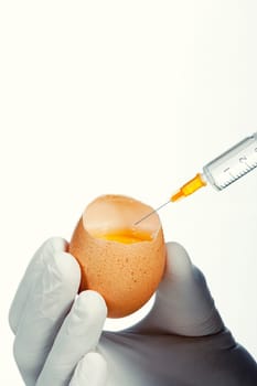 yringe injecting egg for experiment