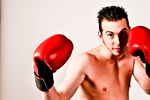 der Boxer
