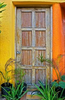 Bamboo Door and Plants
