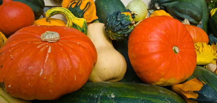 Pumpkin salad