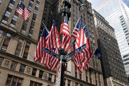 American Flag