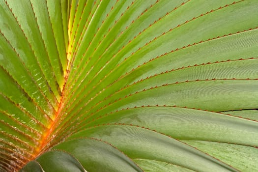 Exotic structures of nature