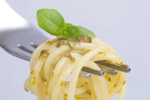Spaghetti basil close