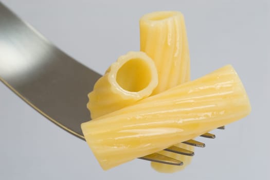 Three Rigatoni