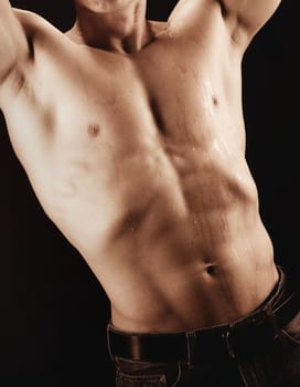 Free male torso