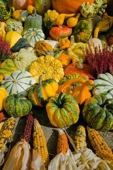 Pumpkins III