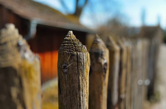 The Fence