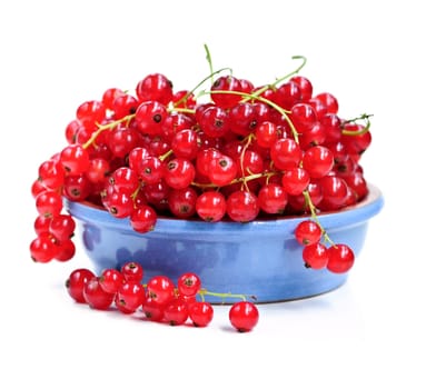 Red currants