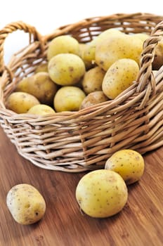 Row potatoes