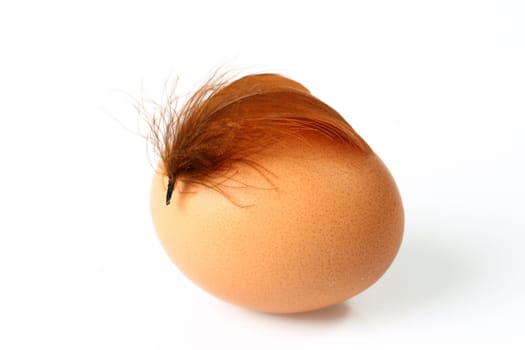Egg