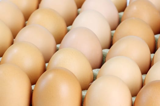 Egg pallet