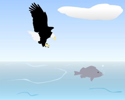 Eagle fishing