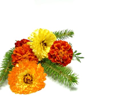 A single twig of fir with marygold and calendula