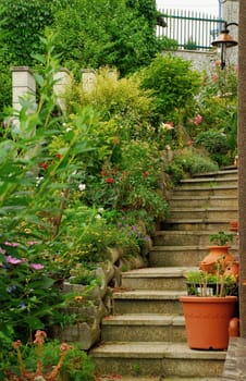 Mediterranean garden