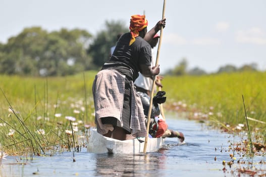 Mokoro Canoe in the Okavango Delta