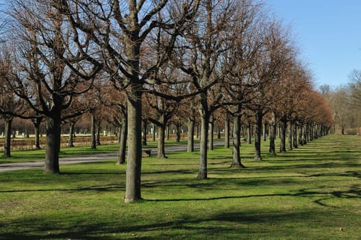Early spring in the park