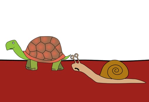 race - snail and tortoise