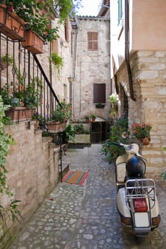 Spello-Umbria