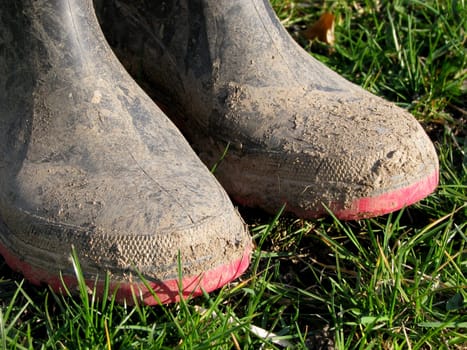 Mud Shoes
