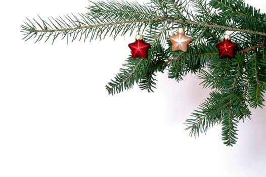 Branch with stars